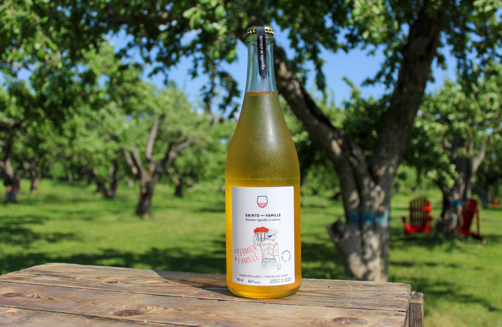 Le Domaine de la source à Marguerite devient Domaine SainteFamille